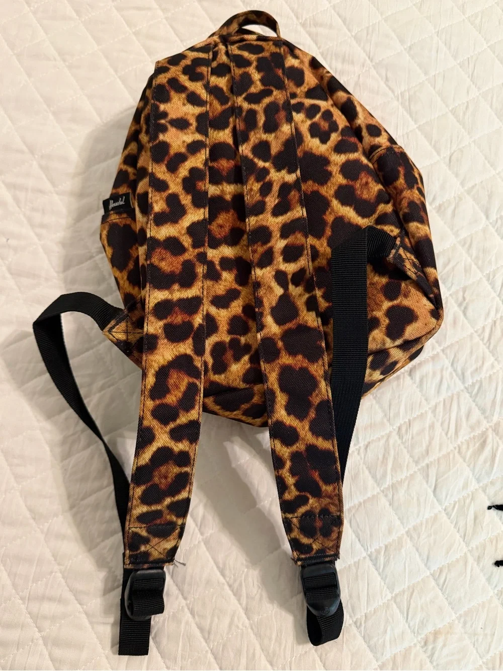Herschel Supply Company Leopard Print Mini Backpack in Brown and Black